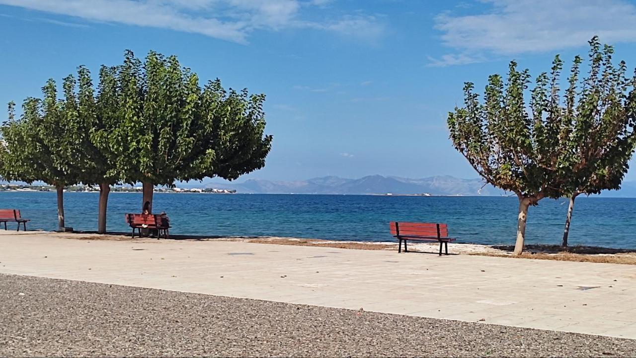 Апартаменты Beautiful Choice - Near Athens Airport - 50M From The Sea - Iq+ Луца Экстерьер фото